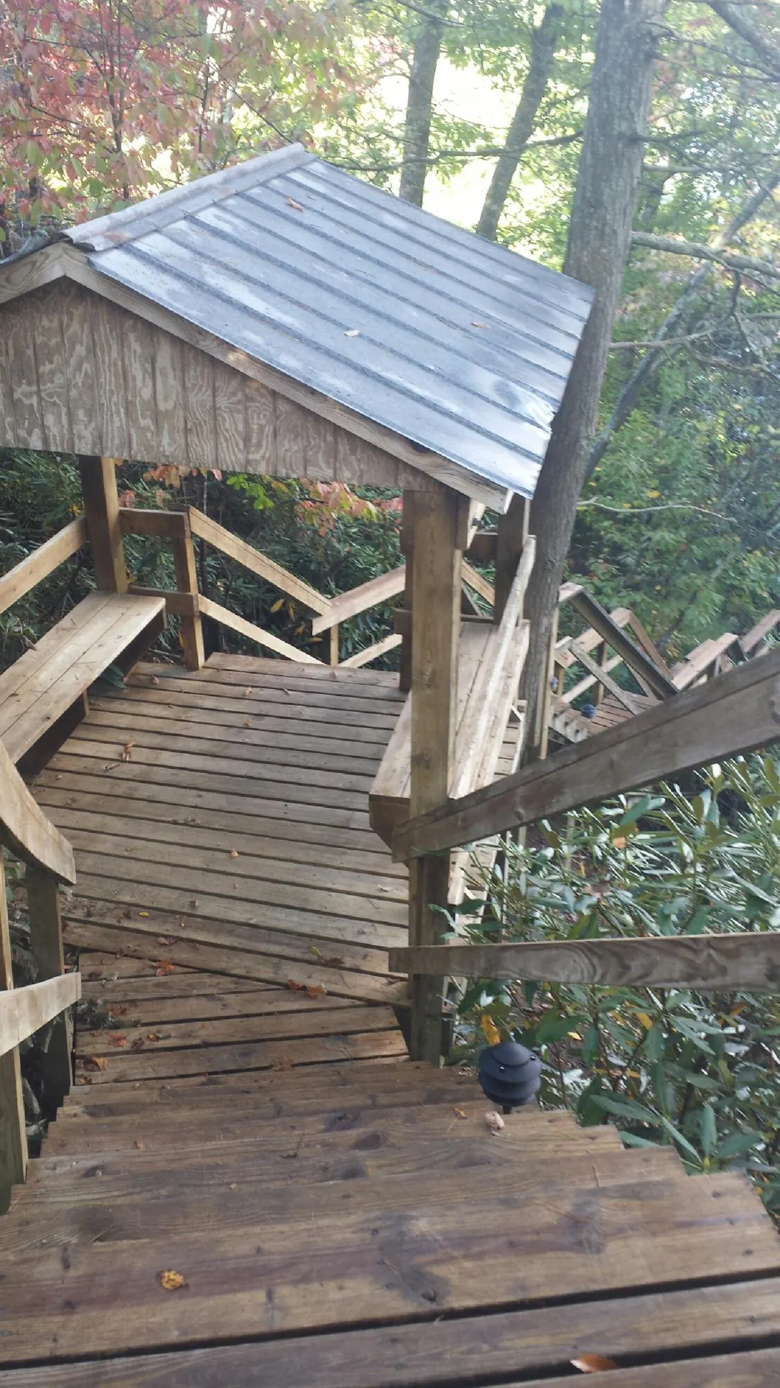 Metal roofed shelter over wooden steps on a wooded walkway — Skylight Repair & Installation work by our crew in Longmont